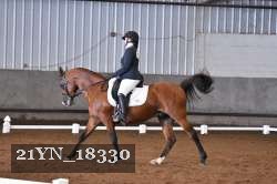 21YN_18330 thumbnail