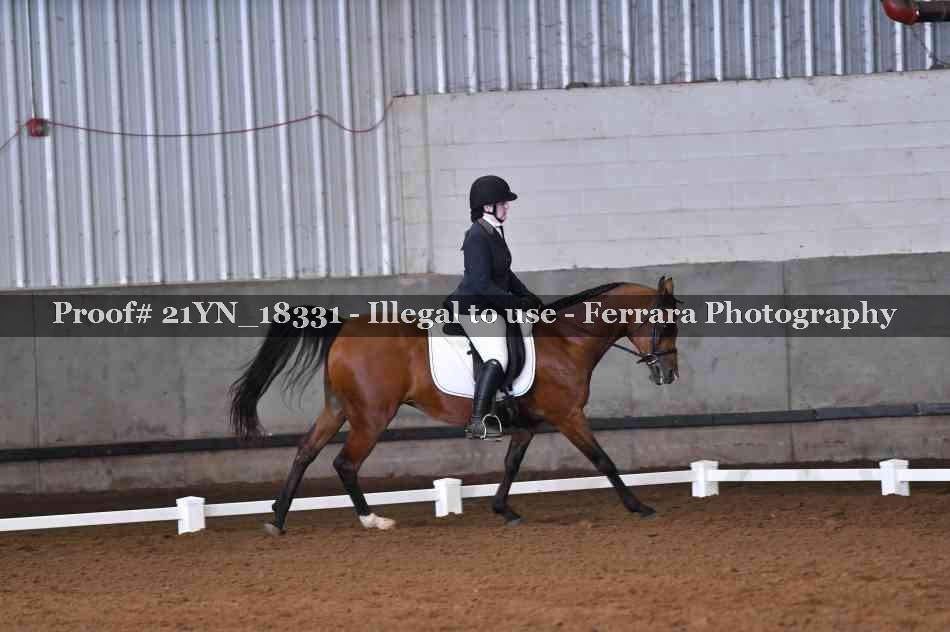 Proof Number 21YN_18331
