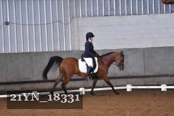21YN_18331 thumbnail
