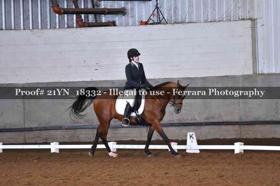 Proof Number 21YN_18332