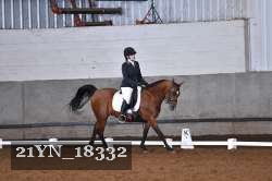 21YN_18332 thumbnail