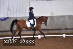 21YN_18333 thumbnail