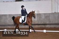 21YN_18334 thumbnail
