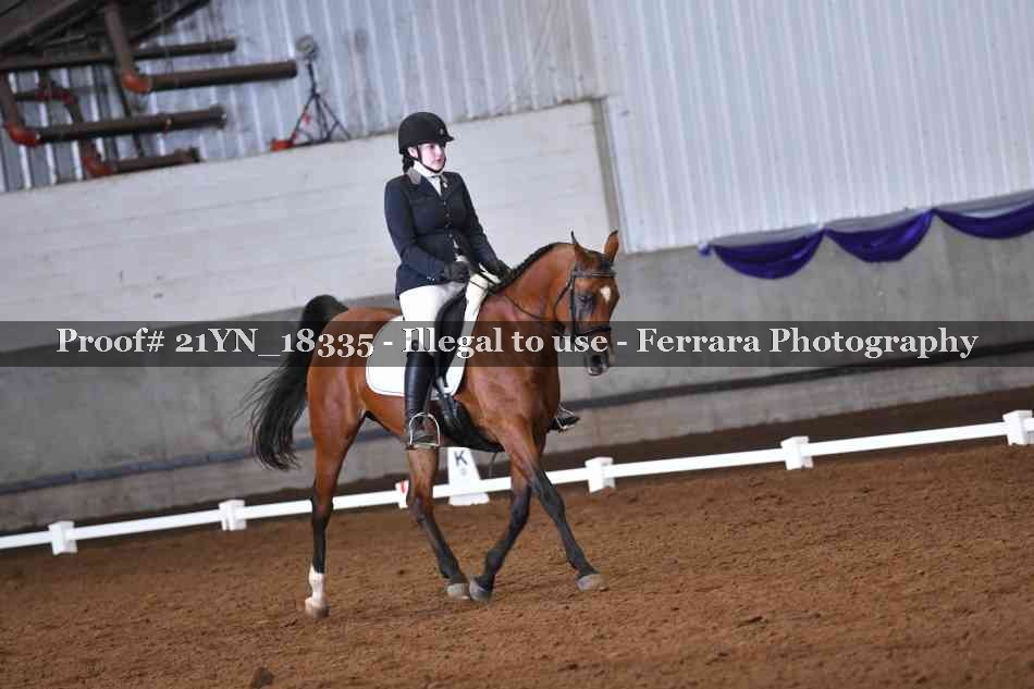 Proof Number 21YN_18335