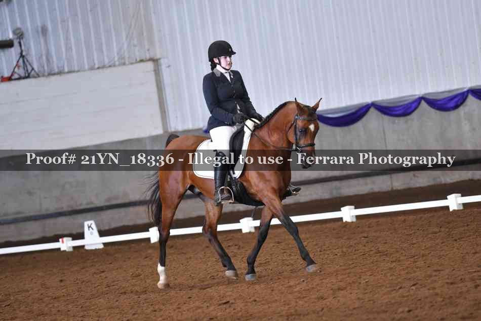 Proof Number 21YN_18336