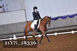 21YN_18336 thumbnail