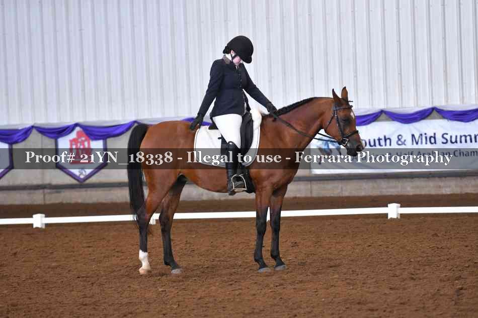 Proof Number 21YN_18338