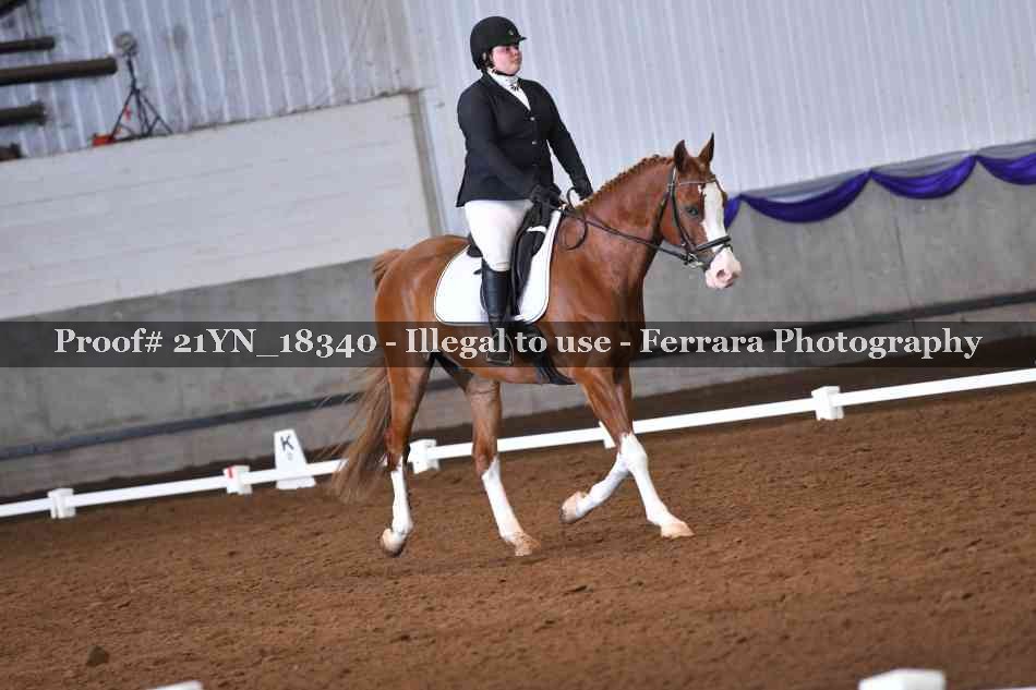 Proof Number 21YN_18340