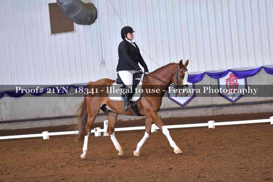 Proof Number 21YN_18341