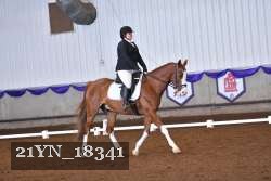 21YN_18341 thumbnail