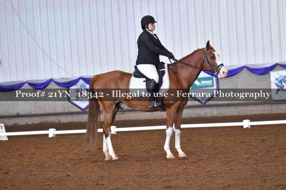 Proof Number 21YN_18342
