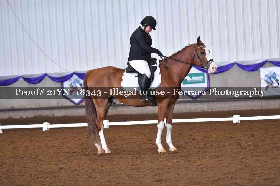 Proof Number 21YN_18343