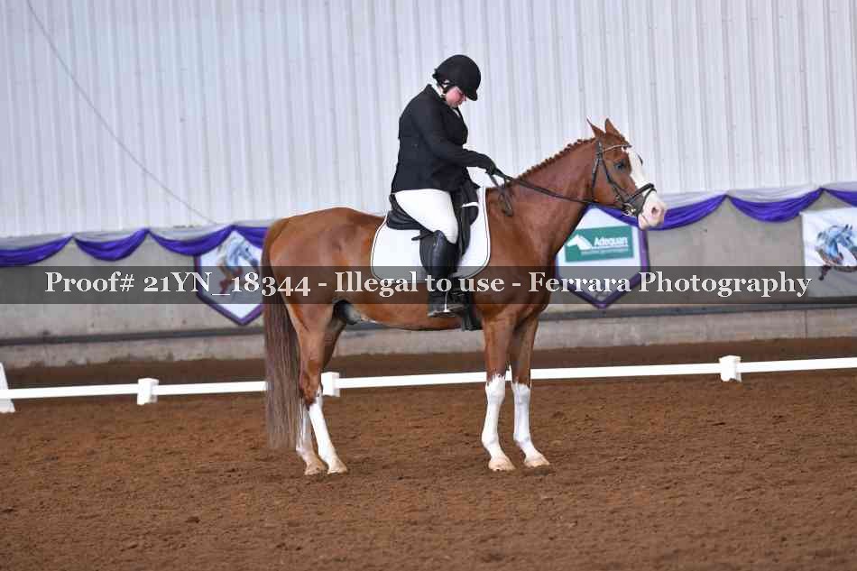 Proof Number 21YN_18344