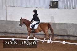 21YN_18346 thumbnail
