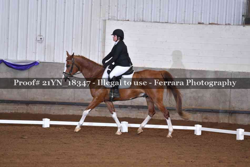 Proof Number 21YN_18347