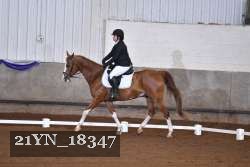 21YN_18347 thumbnail