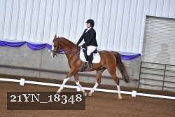 21YN_18348 thumbnail