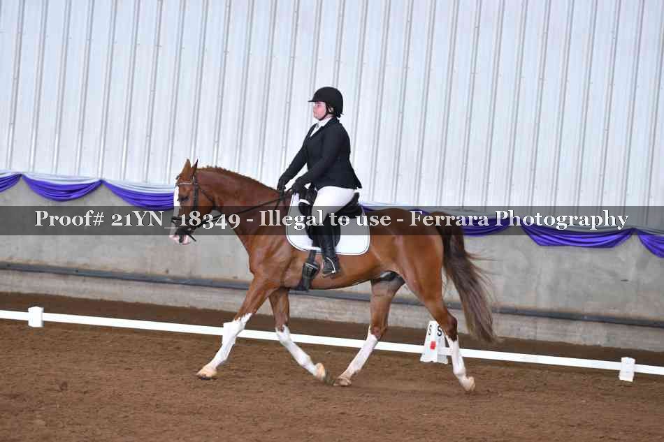 Proof Number 21YN_18349