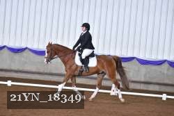 21YN_18349 thumbnail