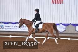 21YN_18350 thumbnail