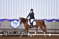 21YN_18351 thumbnail