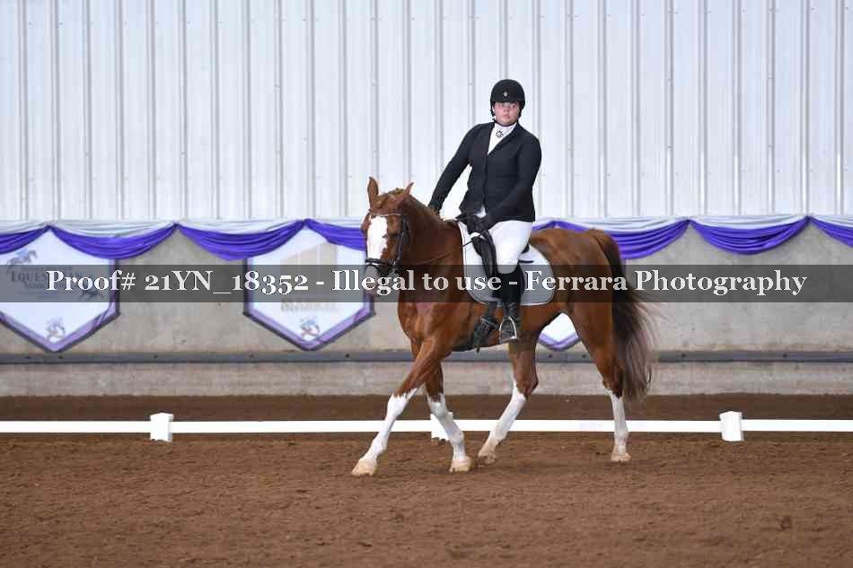 Proof Number 21YN_18352