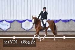 21YN_18352 thumbnail
