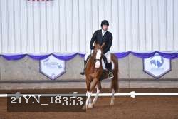 21YN_18353 thumbnail