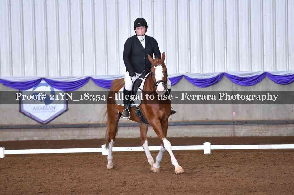 Proof Number 21YN_18354