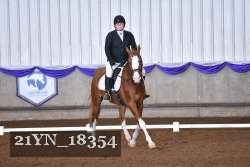 21YN_18354 thumbnail