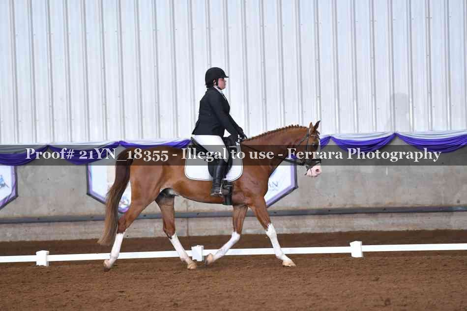 Proof Number 21YN_18355