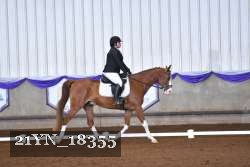 21YN_18355 thumbnail