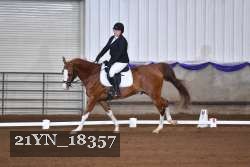 21YN_18357 thumbnail
