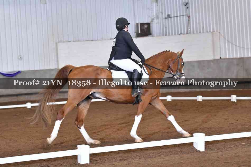 Proof Number 21YN_18358