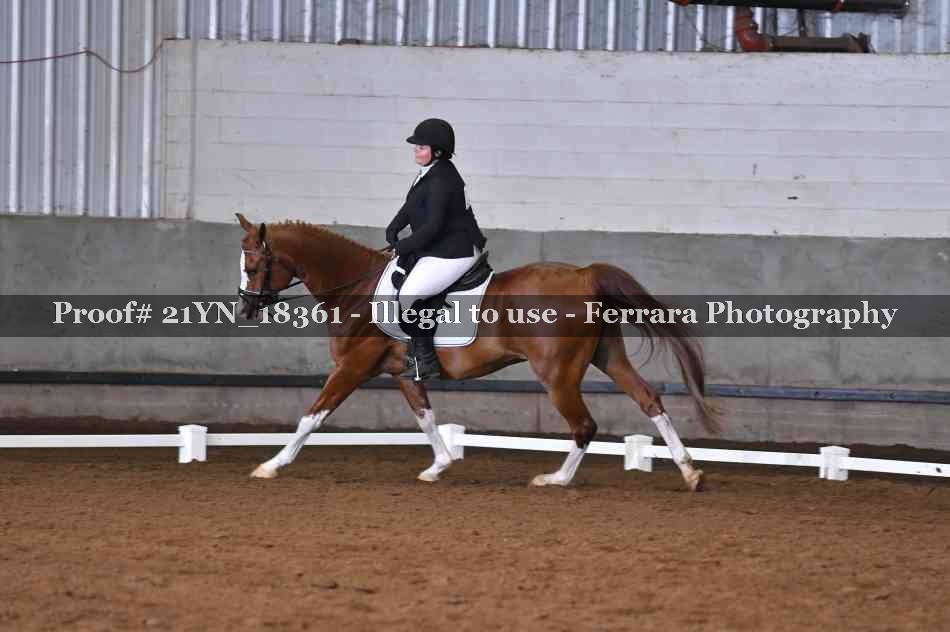 Proof Number 21YN_18361