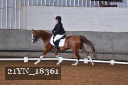 21YN_18361 thumbnail