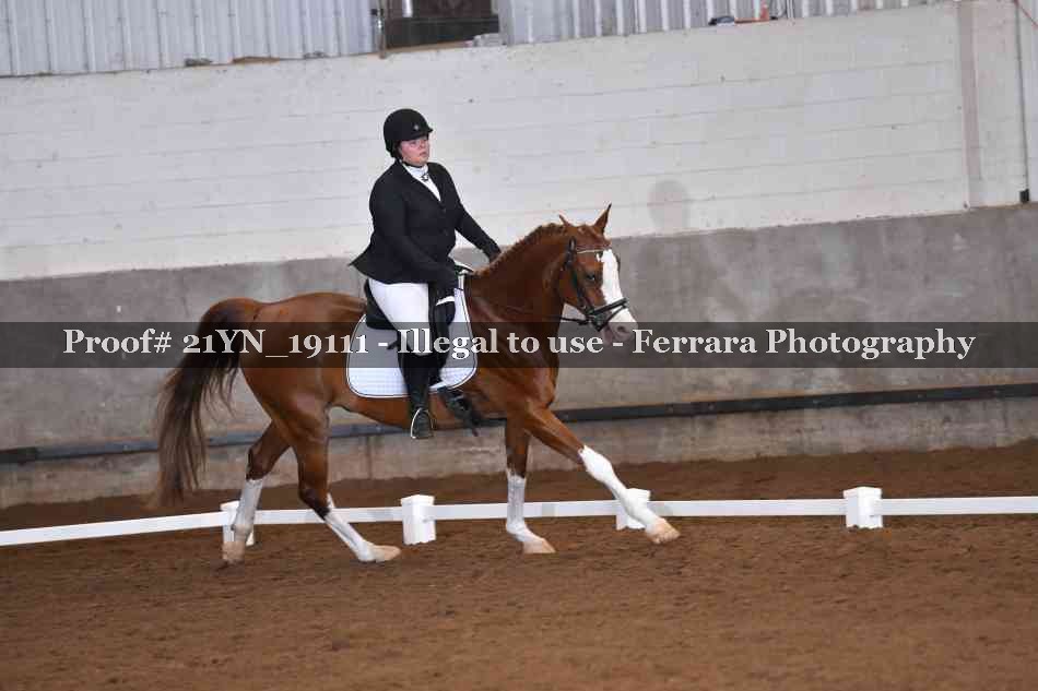 Proof Number 21YN_19111