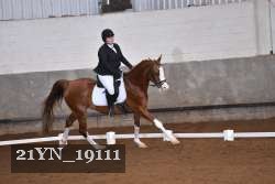 21YN_19111 thumbnail