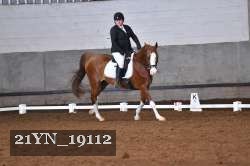 21YN_19112 thumbnail