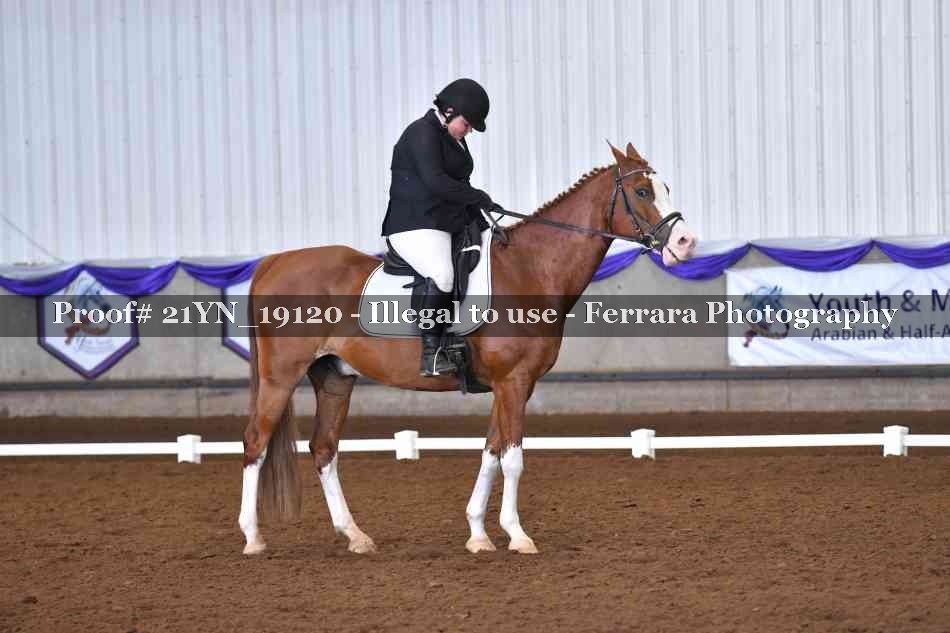 Proof Number 21YN_19120