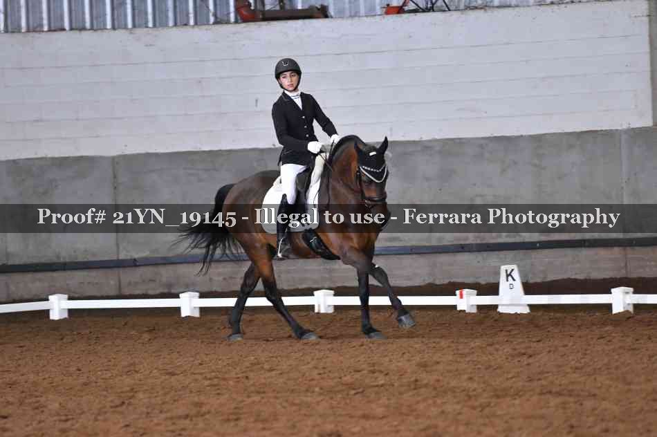 Proof Number 21YN_19145