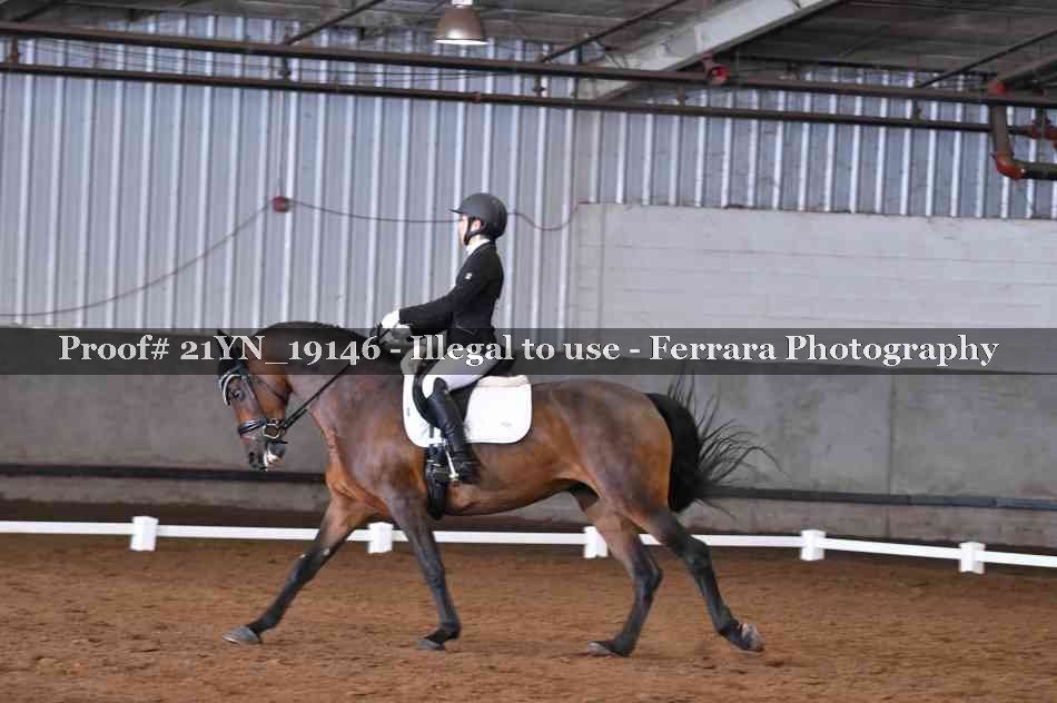 Proof Number 21YN_19146