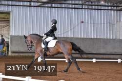 21YN_19147 thumbnail