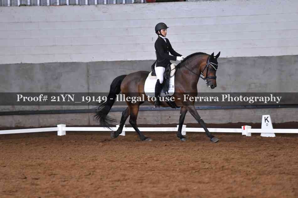 Proof Number 21YN_19149