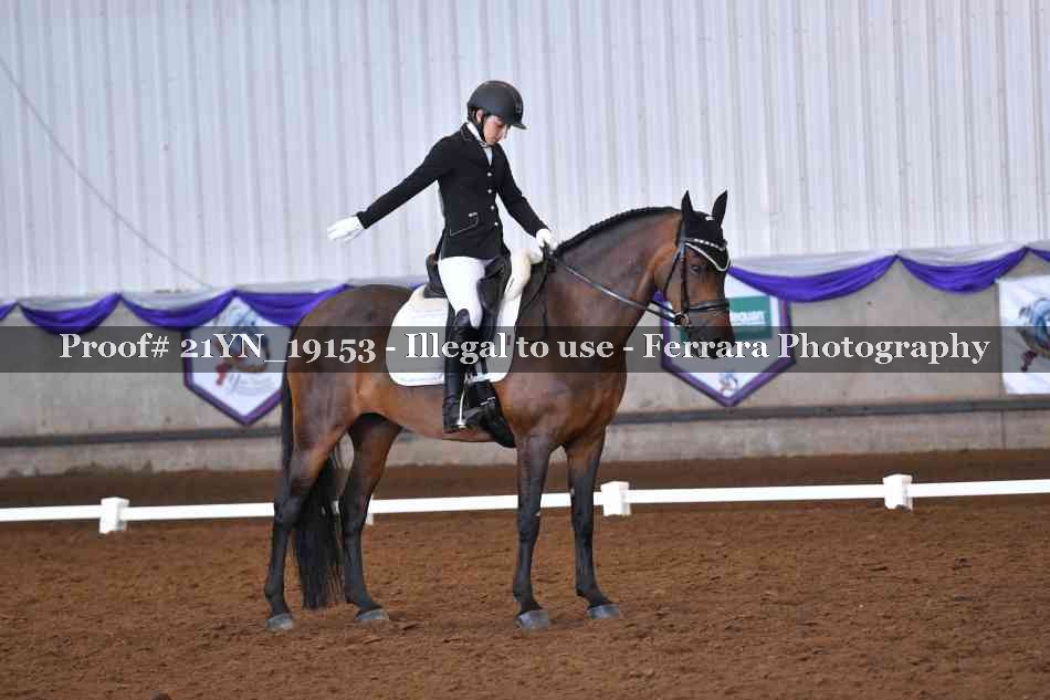 Proof Number 21YN_19153