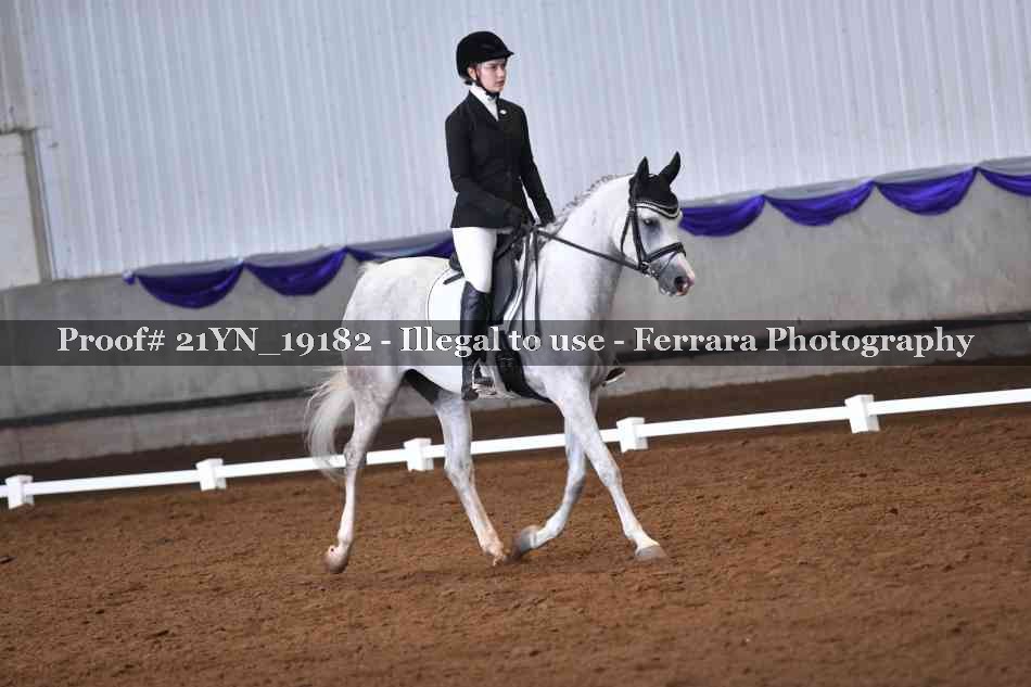 Proof Number 21YN_19182