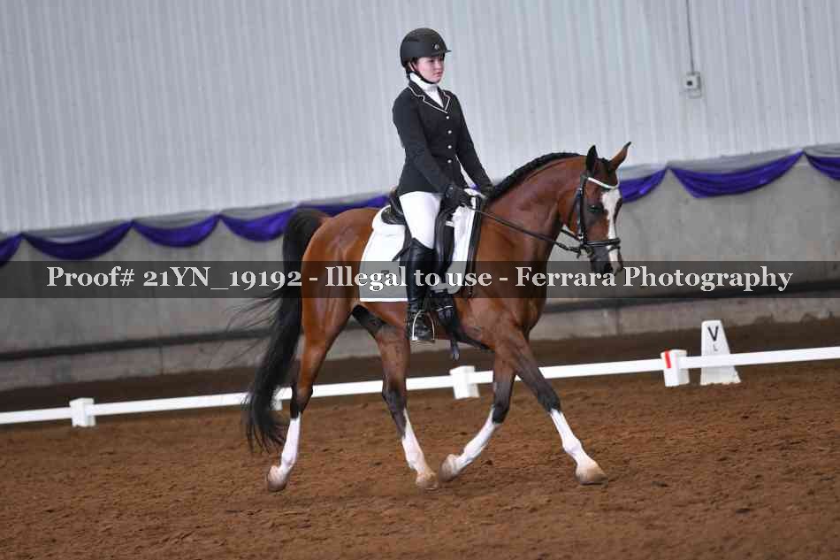 Proof Number 21YN_19192