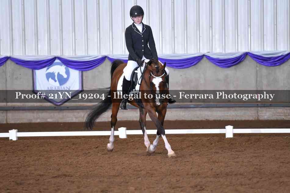 Proof Number 21YN_19204