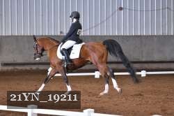 21YN_19211 thumbnail