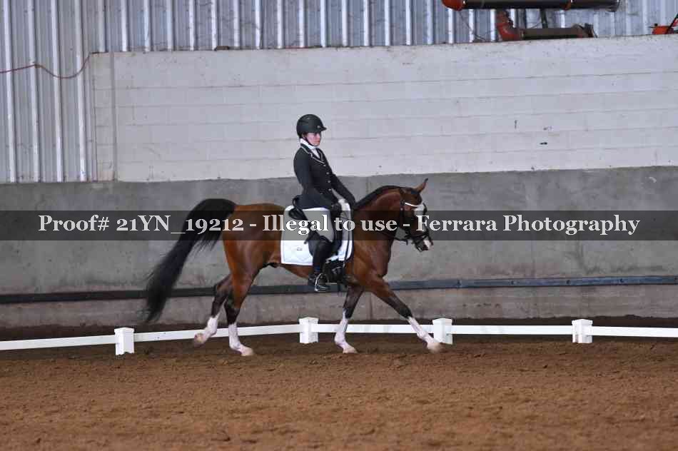 Proof Number 21YN_19212